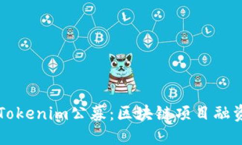 深入探讨Tokenim公募：区块链项目融资的新模式