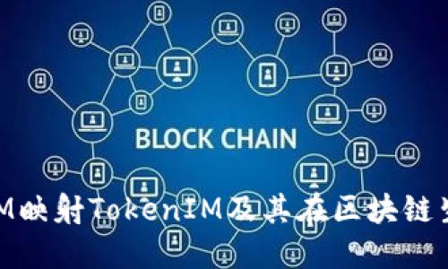 深入探讨BTM映射TokenIM及其在区块链生态中的应用
