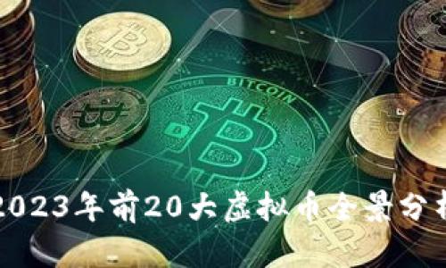 2023年前20大虚拟币全景分析