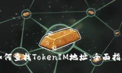 如何查找TokenIM地址：全面指南