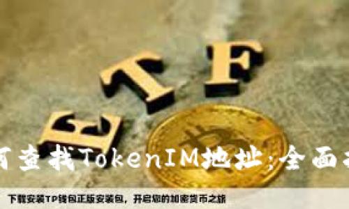 如何查找TokenIM地址：全面指南