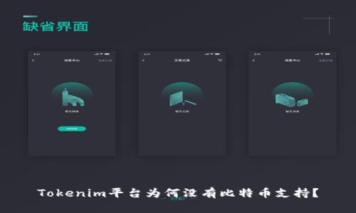 Tokenim平台为何没有比特币支持？