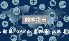 深入解析 GAMC 虚拟币：机遇与挑战