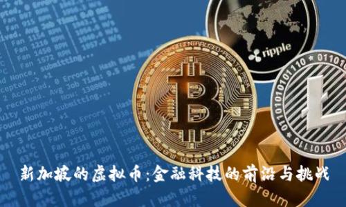 新加坡的虚拟币：金融科技的前沿与挑战