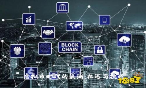 虚拟币时代的浪潮：机遇与挑战