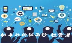 揭开PEB虚拟币的神秘面纱：投资者的未来宝藏