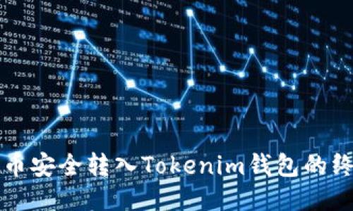 将主网币安全转入Tokenim钱包的终极指南