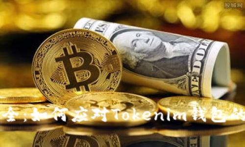 维护资产安全：如何应对Tokenim钱包的高风险警示