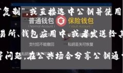 要复制 Tokenim 的公钥，您可以按照以下步骤操作