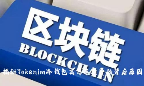 揭秘Tokenim冷钱包高昂手续费的背后原因