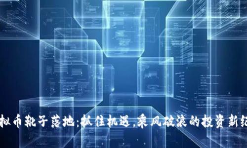 虚拟币靴子落地：抓住机遇，乘风破浪的投资新纪元
