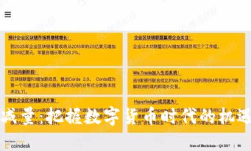 虚拟币减量：把握数字货币时代的机遇与挑战