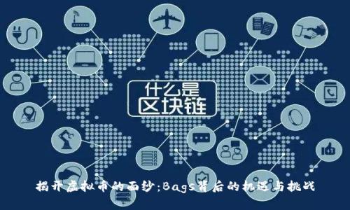 揭开虚拟币的面纱：Bags背后的机遇与挑战