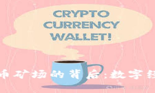 揭秘国有虚拟币矿场的背后：数字经济的未来之路