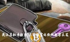 武汉虚拟币投资：点亮财富之路的数字火花