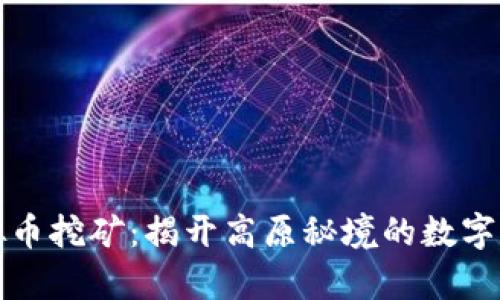 青海虚拟币挖矿：揭开高原秘境的数字财富之旅