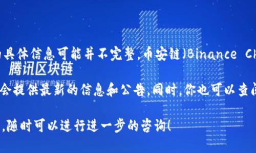 截至我最后的信息更新，在2023年10月之前，Tokenim并不是一个广为人知的项目，因此关于它是否在币安链上发行的具体信息可能并不完整。币安链（Binance Chain）是一个高性能的区块链，旨在为数字资产提供快速和安全的交易环境，而很多新项目或代币选择在其上进行发行。

如果你想要了解Tokenim是否在币安链上发布，建议你访问Tokenim的官方网站或相关的社交媒体渠道，通常这些地方会提供最新的信息和公告。同时，你也可以查阅币安链的区块浏览器，以获取有关Tokenim是否在该链上存在的具体信息。

对于加密货币项目，尤其是相对新兴的项目，确保获取信息的来源可靠，并且了解最新的市场动态是很重要的。如果需要，随时可以进行进一步的咨询！