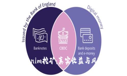 在Tokenim挖矿：真实收益与风险分析