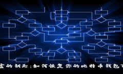 主解锁财富的钥匙：如何恢复你的比特币钱包T