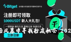 在虚拟币市场风暴中寻找抄底机会：2023年投资指
