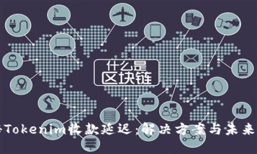 探秘Tokenim收款延迟：解决方案与未来展望