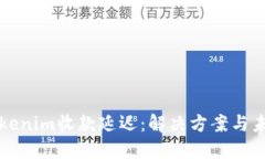 探秘Tokenim收款延迟：解决方案与未来展望