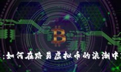 迎接未来：如何在路易虚拟币的浪潮中乘风破浪