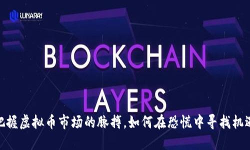 把握虚拟币市场的脉搏，如何在恐慌中寻找机遇