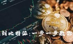 轻松导入Tokenim到比特派：一步一步教你实现资产
