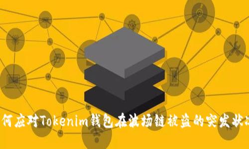 如何应对Tokenim钱包在波场链被盗的突发状况？