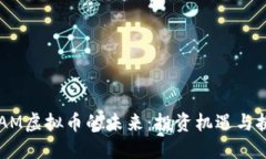 GRAM虚拟币的未来：投资机遇与挑战