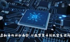 揭开虚拟币的神秘面纱：从数字货币到现实生活