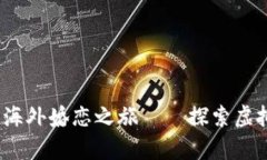 拥抱数字浪潮，开启你的海外婚恋之旅——探索