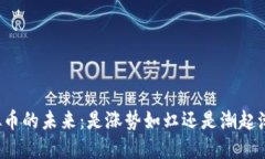 虚拟币的未来：是涨势如虹还是潮起潮落？