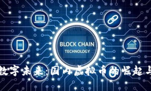 迎接数字未来：国内虚拟币的崛起与变革