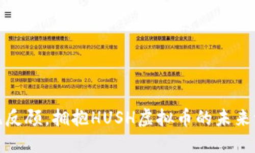 义无反顾，拥抱HUSH虚拟币的未来浪潮