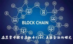 在晨雾中探索虚拟币ELEC：未来金融的曙光