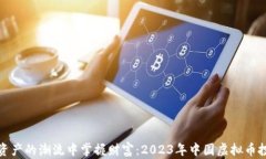 在数字资产的潮流中掌握财富：2023年中国虚拟币