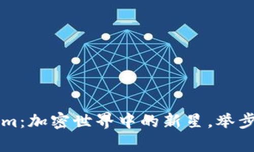 币安链Tokenim：加密世界中的新星，举步迈向财富之路