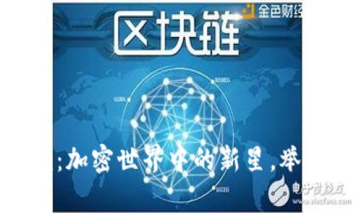 币安链Tokenim：加密世界中的新星，举步迈向财富之路