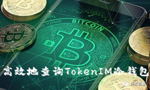 如何安全高效地查询TokenIM冷钱包授权信息