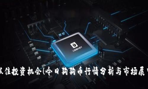 抓住投资机会！今日狗狗币行情分析与市场展望