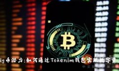 解锁Pig币潜力：如何通过Tokenim钱包实现数字资产