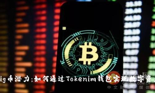 解锁Pig币潜力：如何通过Tokenim钱包实现数字资产增值
