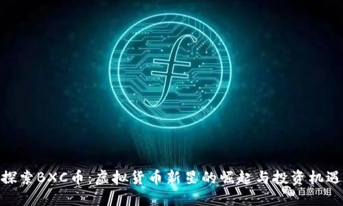 探索BXC币：虚拟货币新星的崛起与投资机遇