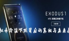 虚拟币价值下跌背后的真相与未来展望