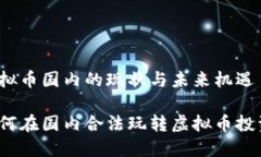 虚拟币国内的现状与未来机遇如何在国内合法玩