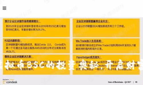 掌握虚拟币BSC的投资奥秘，开启财富旅程！
