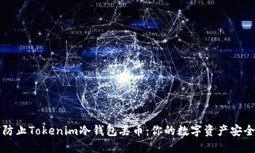 如何防止Tokenim冷钱包丢币：你的数字资产安全指南