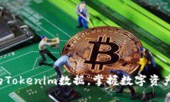 轻松找回你的Tokenim数据，掌握数字资产安全新技